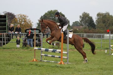 Bild 1466 - WBO-Turnier am 18.9.11